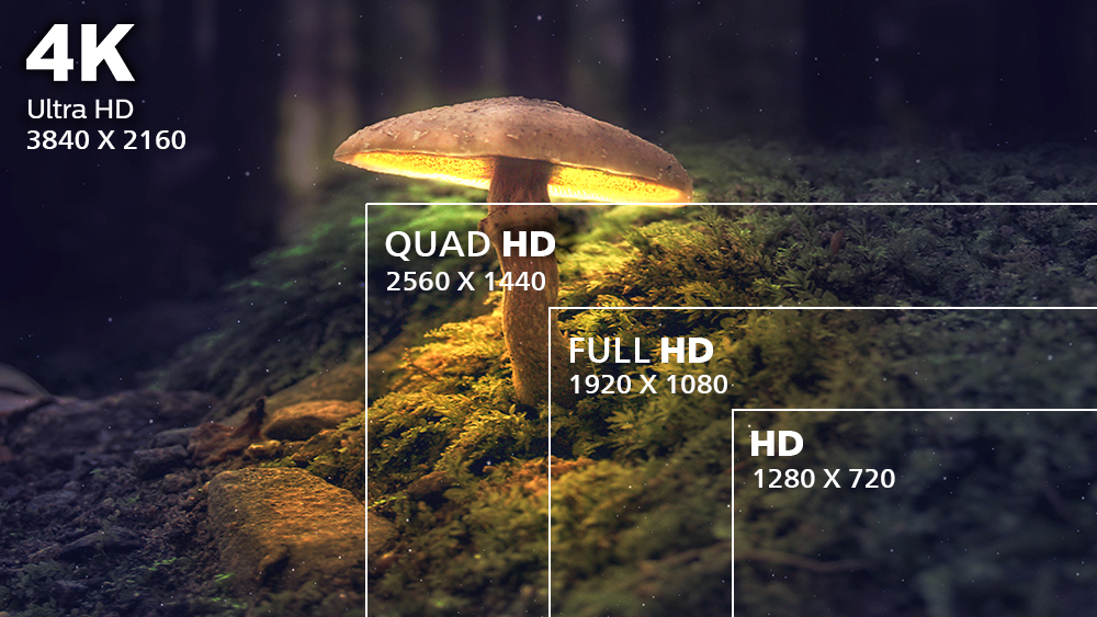 Enjoy precise and detailed images with UltraClear 4K UHD.